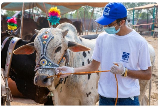 FotoJet-2024-05-18T155331.576-635x430